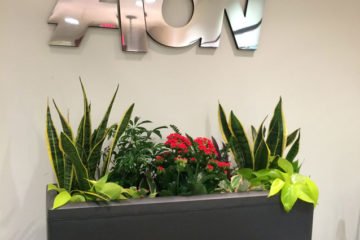 An image of a large planter with flowers