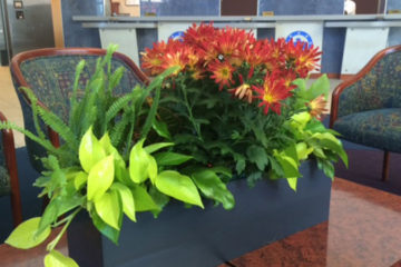 An image of a small planter with flowers in a corporate setting