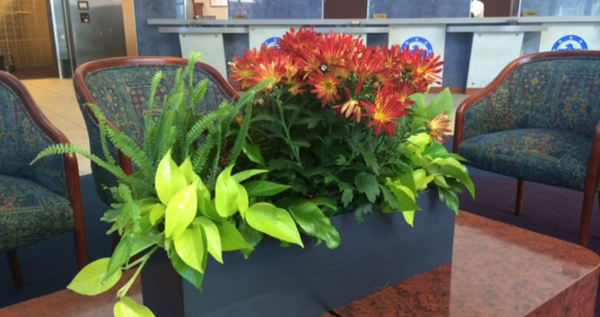 An image of a small planter with flowers in a corporate setting