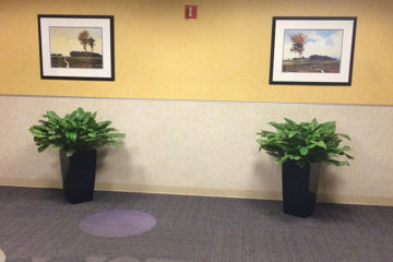 An image of planters in a corporate office