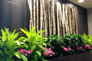 An image of a feature wall in a corporate office with a custom design