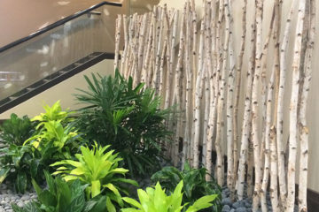 An image of a flower bed in a corporate lobby that was custom designed