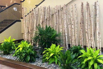 An image of a flower bed in a corporate lobby that was custom designed
