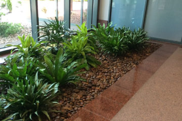 An image of a flower bed in a corporate lobby that was custom designed