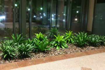 An image of a flower bed in a corporate lobby that was custom designed