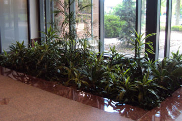 An image of a flower bed in a corporate lobby that was custom designed
