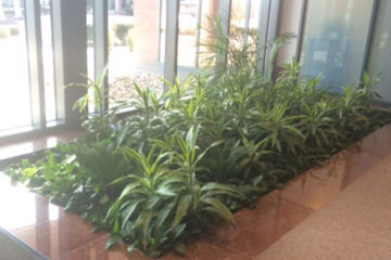 An image of a flower bed in a corporate lobby that was custom designed