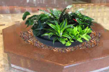 An image of a flower bed in a corporate lobby that was custom designed