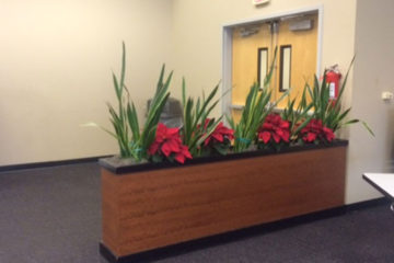 An image of a large planter built into a partial-height wall in a corporate office