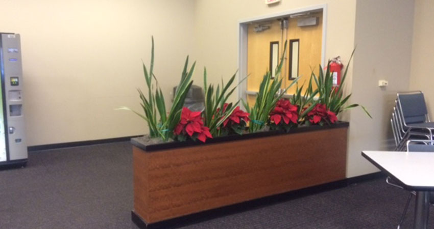 An image of a large planter built into a partial-height wall in a corporate office