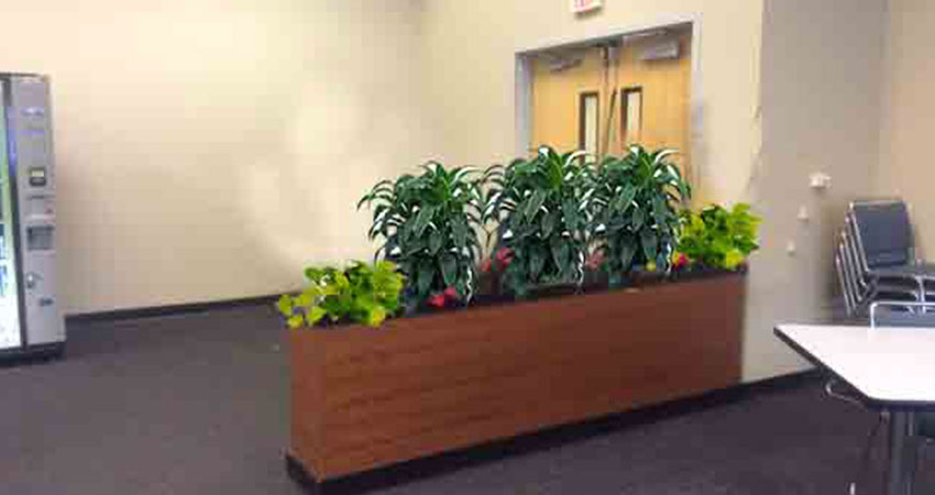 An image of a large planter built into a partial-height wall in a corporate office