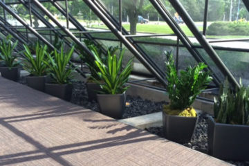 An image of a flower bed in a corporate atrium that was custom designed