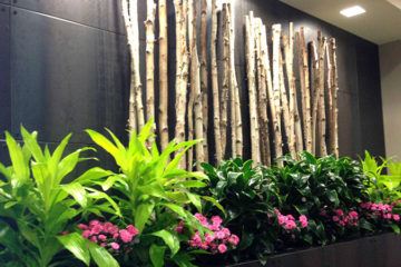 An image of planters in a corporate lobby