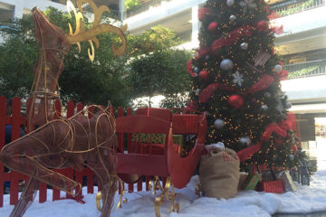 An image of a Christmas tree, deer, and a sleigh