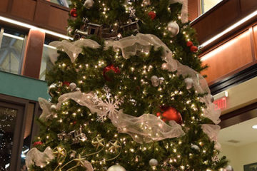 An image of a large train model placed at the base of a Christmas tree