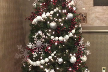 An image of a Christmas tree decorated with ornaments and lights