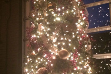 An image of a Christmas tree decorated with ornaments and lights