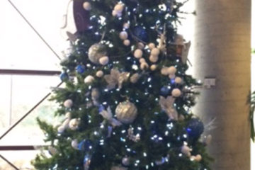 An image of a Christmas tree decorated with ornaments and lights