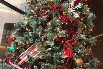 An image of a Christmas tree decorated with ornaments and lights