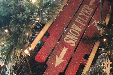 An image of a Christmas tree decorated with ornaments and lights