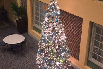 An image of a Christmas tree decorated with ornaments and lights