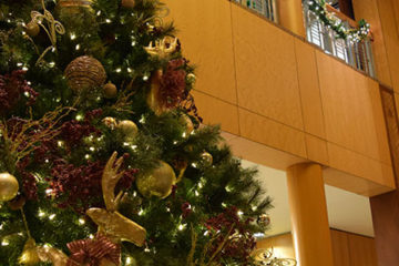 An image of a Christmas tree decorated with ornaments and lights