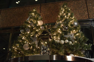 An image of a Christmas trees decorated with ornaments and lights
