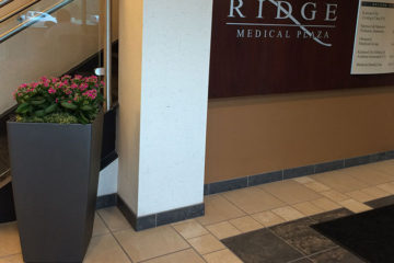 An image of planters in a corporate lobby