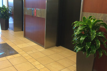 An image of planters in a corporate lobby