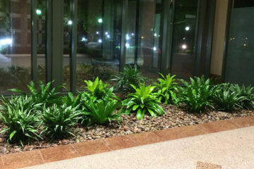 An image of a completed flower bed in a corporate lobby