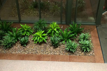 An image of a completed flower bed in a corporate lobby