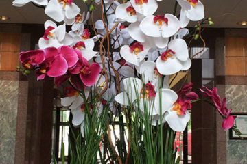 An image of planters in a corporate lobby