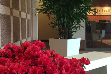 An image of planters in a corporate lobby
