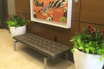 An image of planters in a corporate lobby