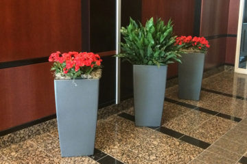 An image of planters in a corporate lobby