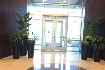 An image of planters in a corporate lobby