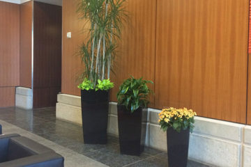 An image of planters in a corporate lobby
