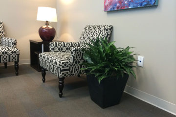 An image of planters in a tenant reception area